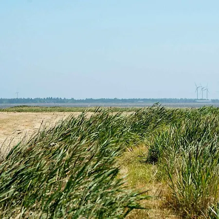 8 Person In Ulfborg *