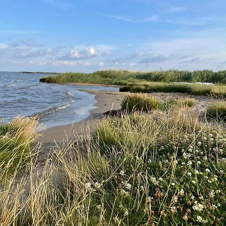 8 Person In Ulfborg Ferienhaus Thorsminde