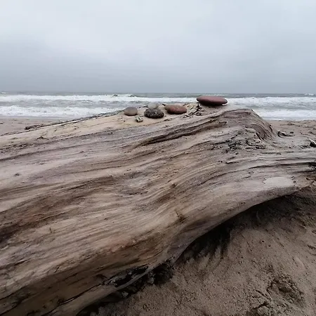 8 Person In Ulfborg Thorsminde